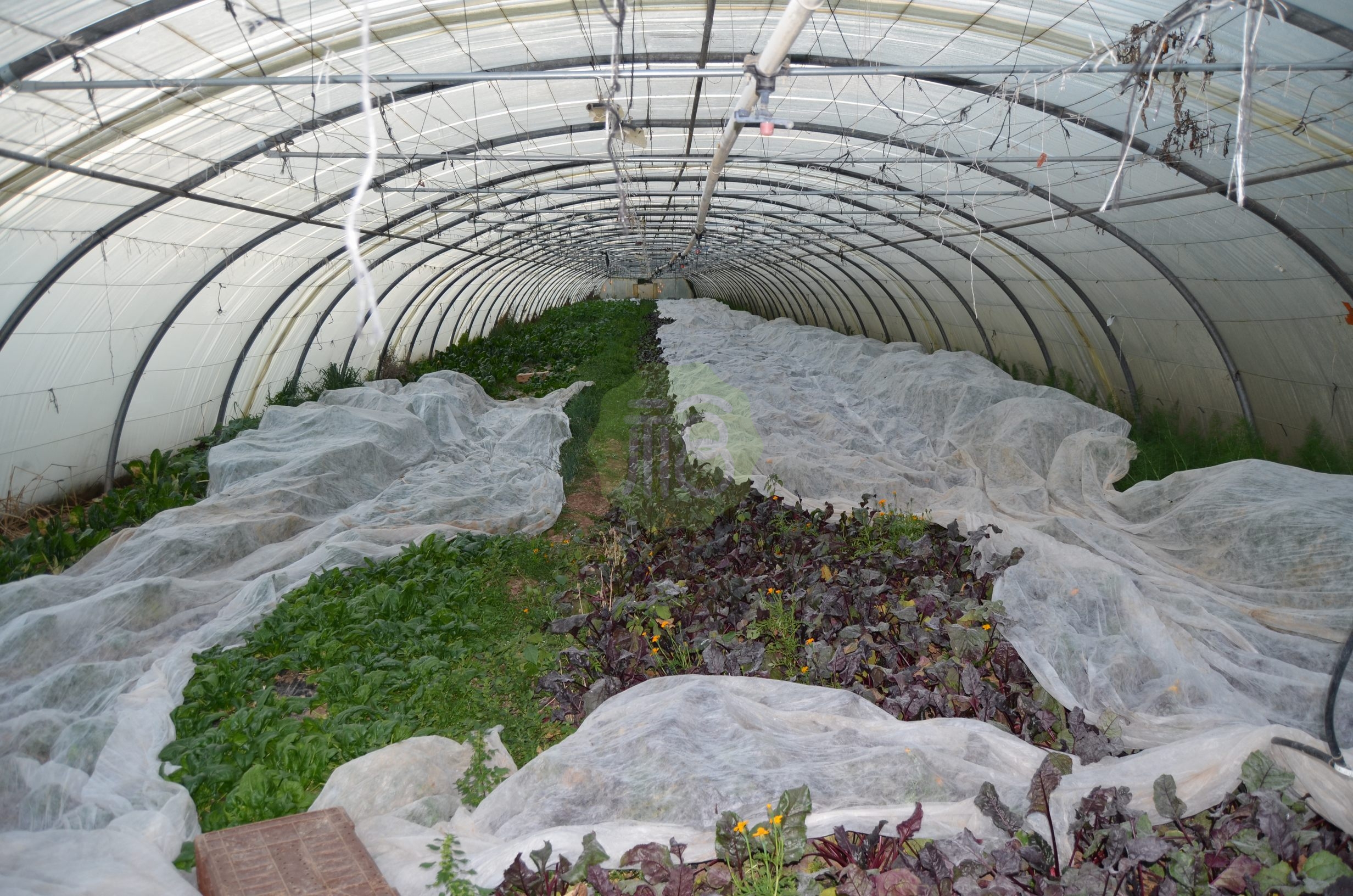 PP spunbond non-woven fabric agriculture cover mulch fleece